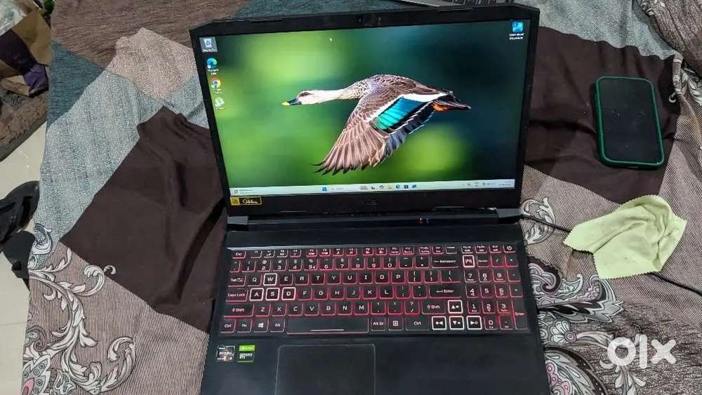 Acer nitro 5 Ryzen 5000 series