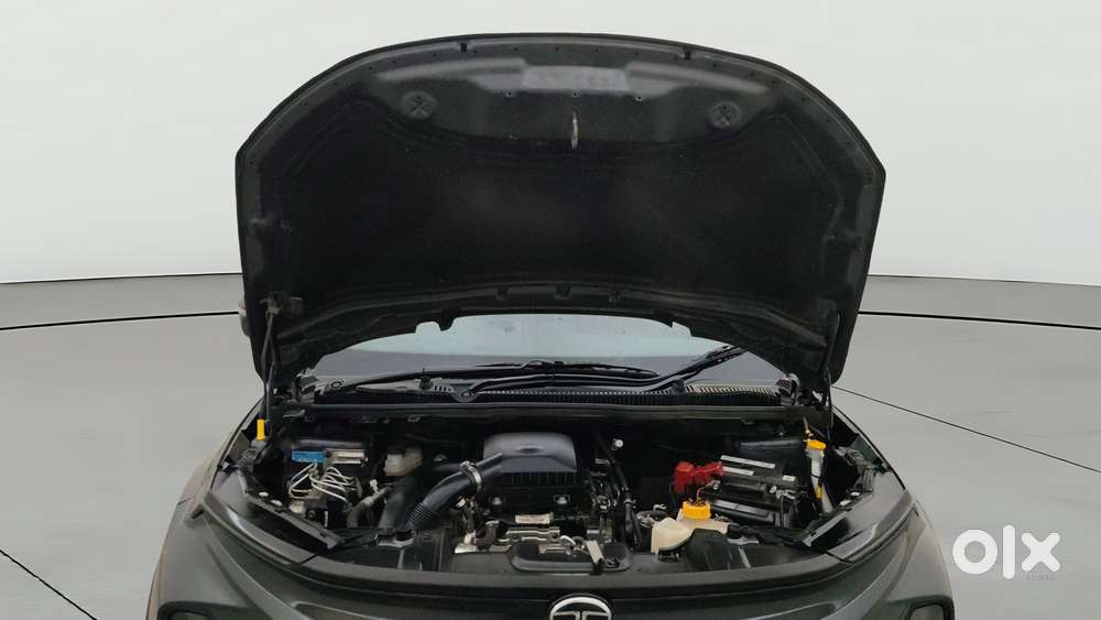 Tata Nexon Creative 1.2 Revotron Petrol 6 Mt, 2024, Petrol