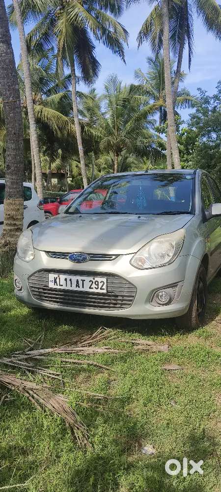 2013 Model