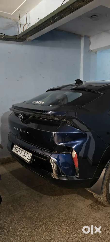 Tata Curvv 2025 Petrol Well Maintained