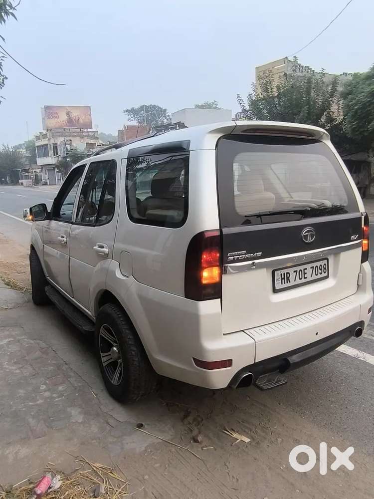 Selly My Safari Storme