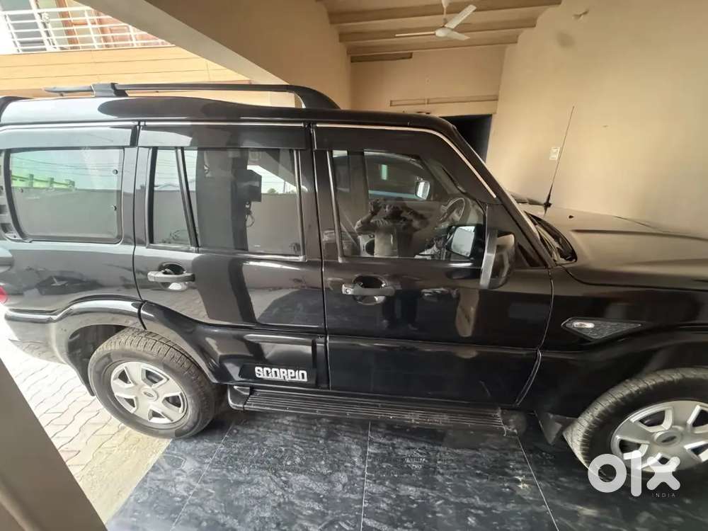 Very Neat And Clean Condition Car Less Driven Less Used Alok Ppf Done