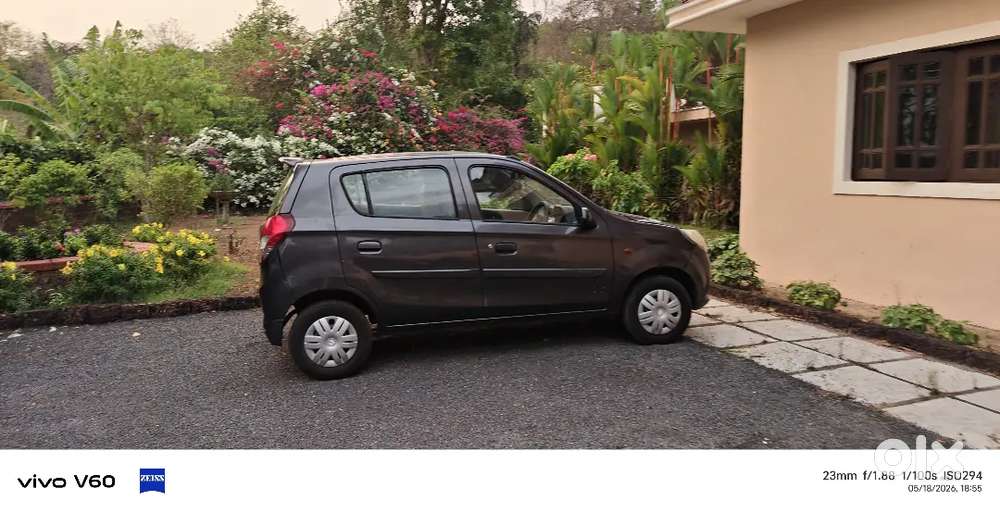 Alto 800 Vxi For Sale