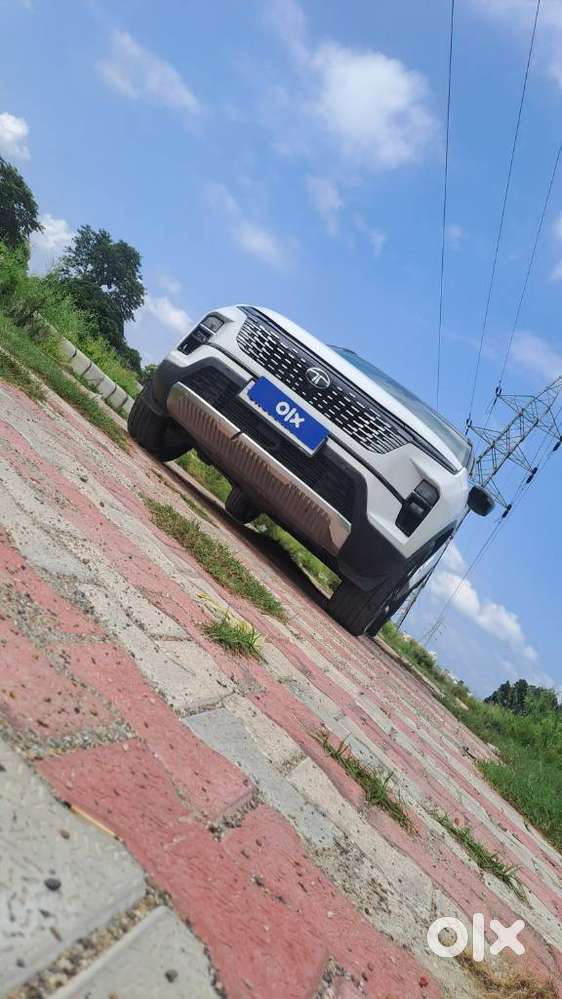 Tata Safari Accomplished Dual Tone, 2024, Diesel