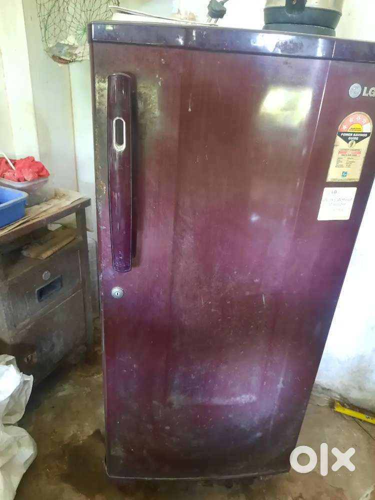 LG Fridge with best cooling maintance