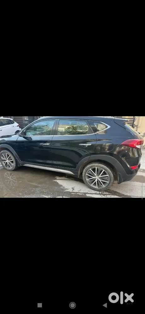 Black Beauty Tucson Automatic