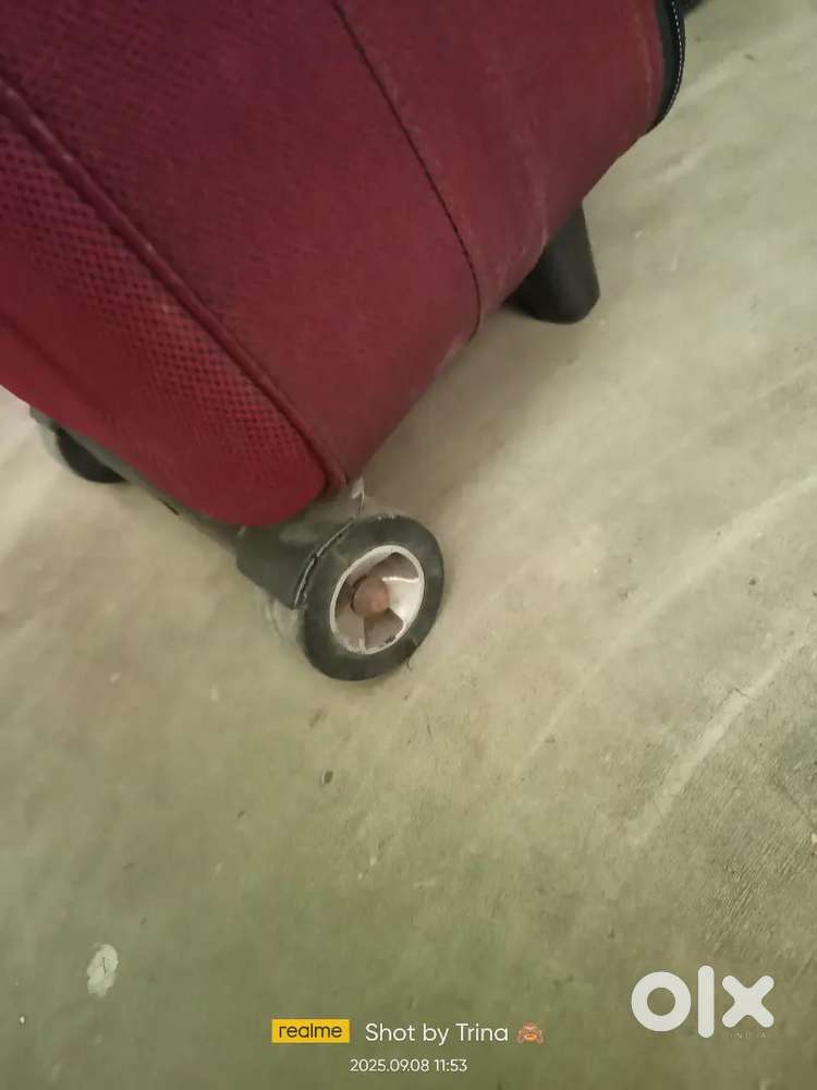 Trolly bag