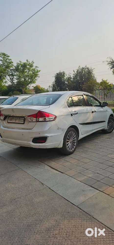Maruti Suzuki Ciaz Alpha [ Top Model ] Available For Sale