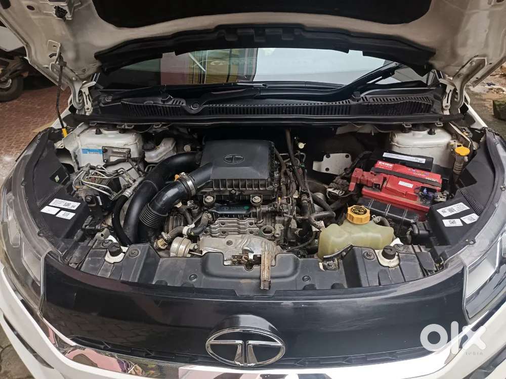 Tata Nexon Xz+ (s) Petrol  Dec 2021bh  Bh  Warranty Till Dec 2026