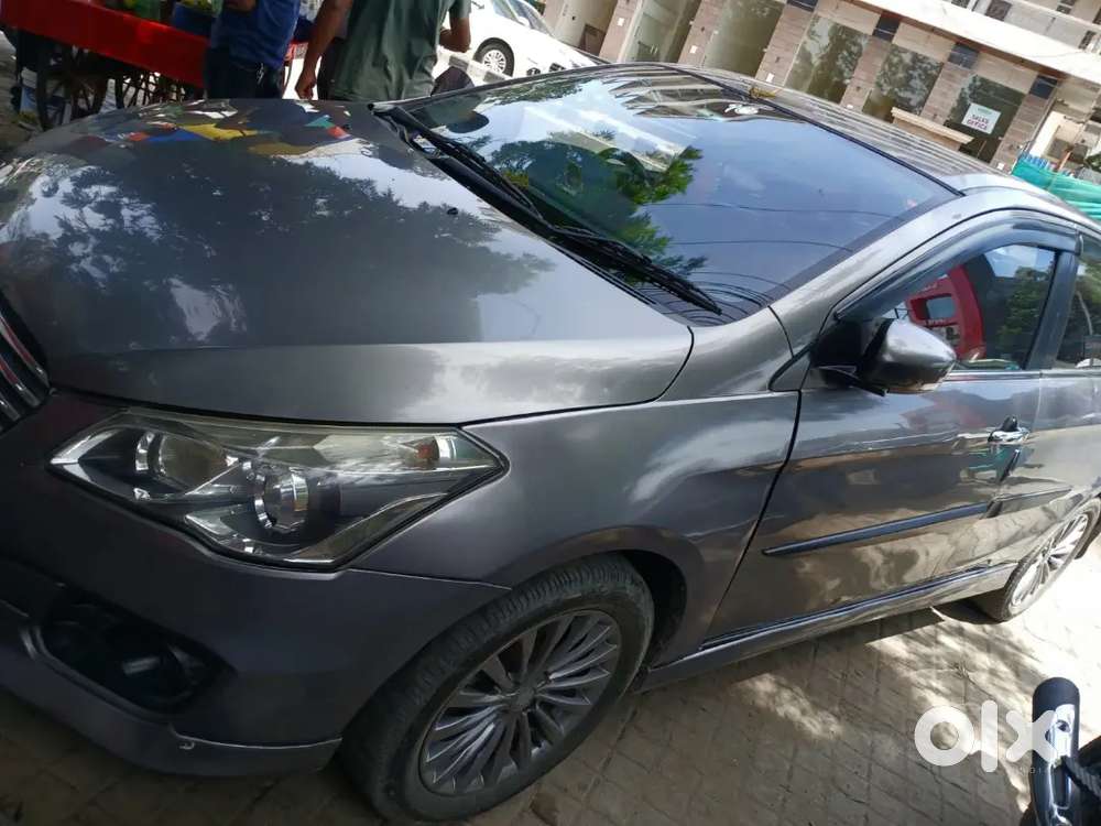 Maruti Suzuki Ciaz S