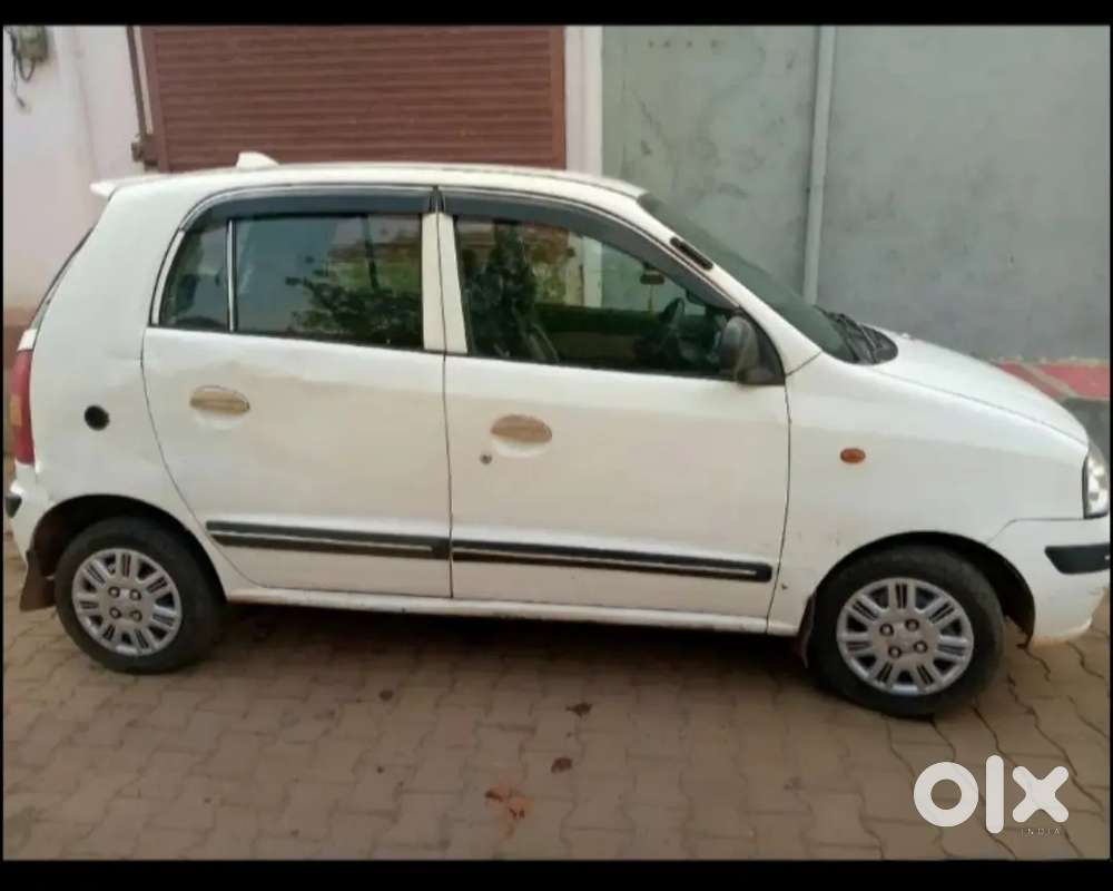 New Lena Hai