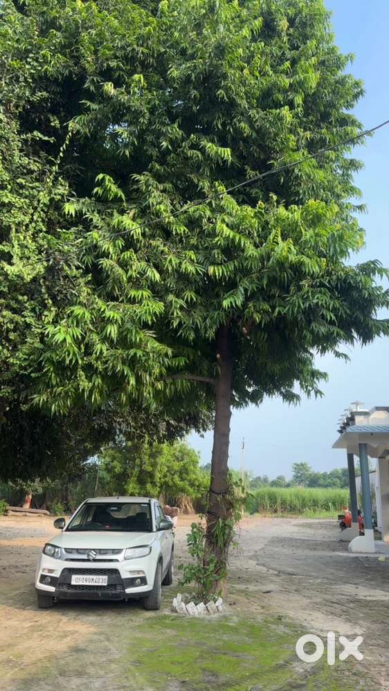 Maruti Suzuki Vitara Km Driven 80000, Model 17