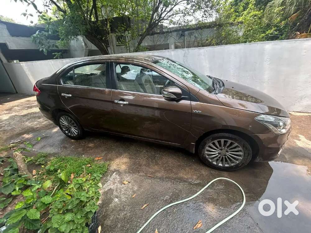 Ciaz Zxi+ Brown