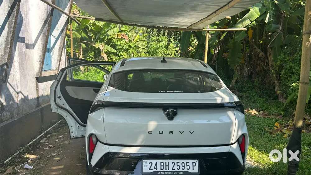 Tata Curvv Petrol Well Maintained