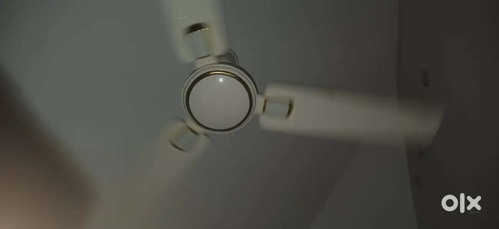 Celling fan + wall fan