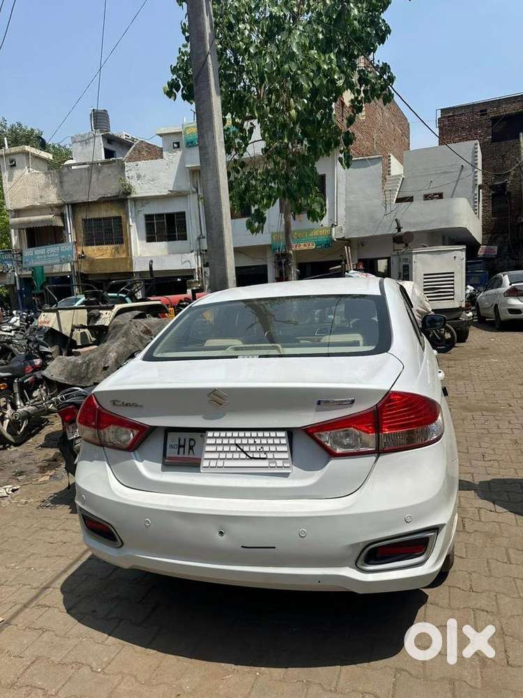 Maruti Suzuki Ciaz 2019 Good Condition