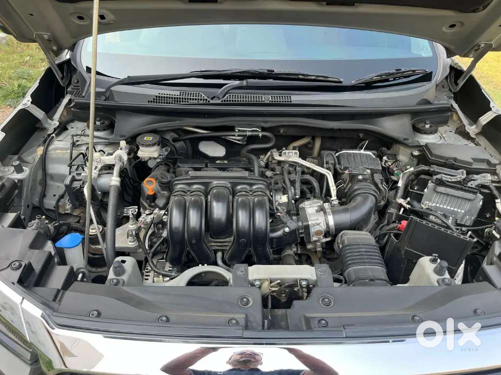 2025 Elevate Zx Automatic