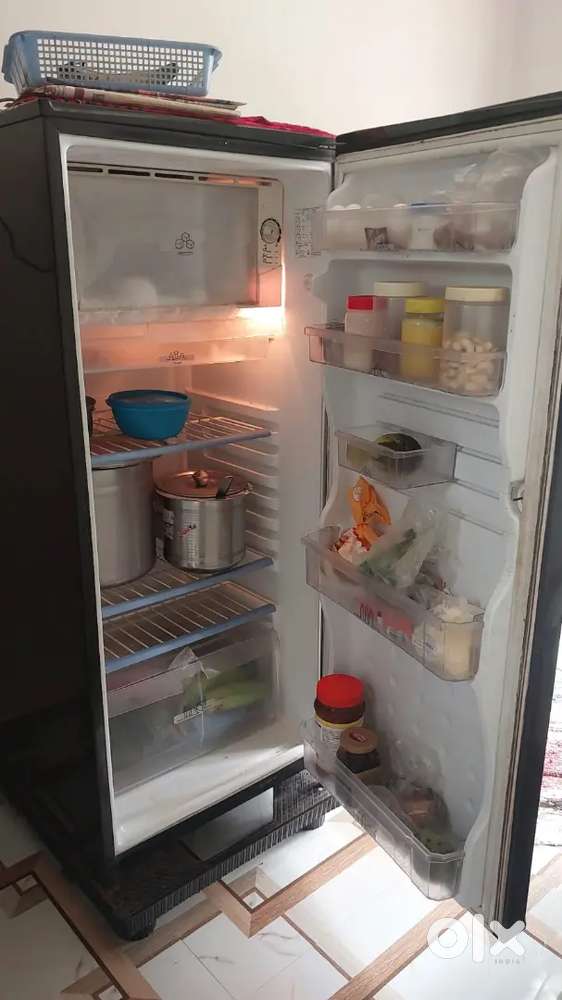 Electrolux fridge