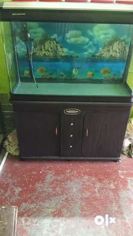 4 feet imported fish tank best sale