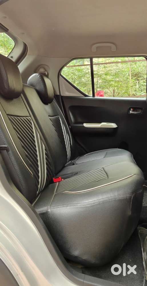 Maruti Suzuki Ignis 1.2 Amt Zeta, 2018, Cng & Hybrids