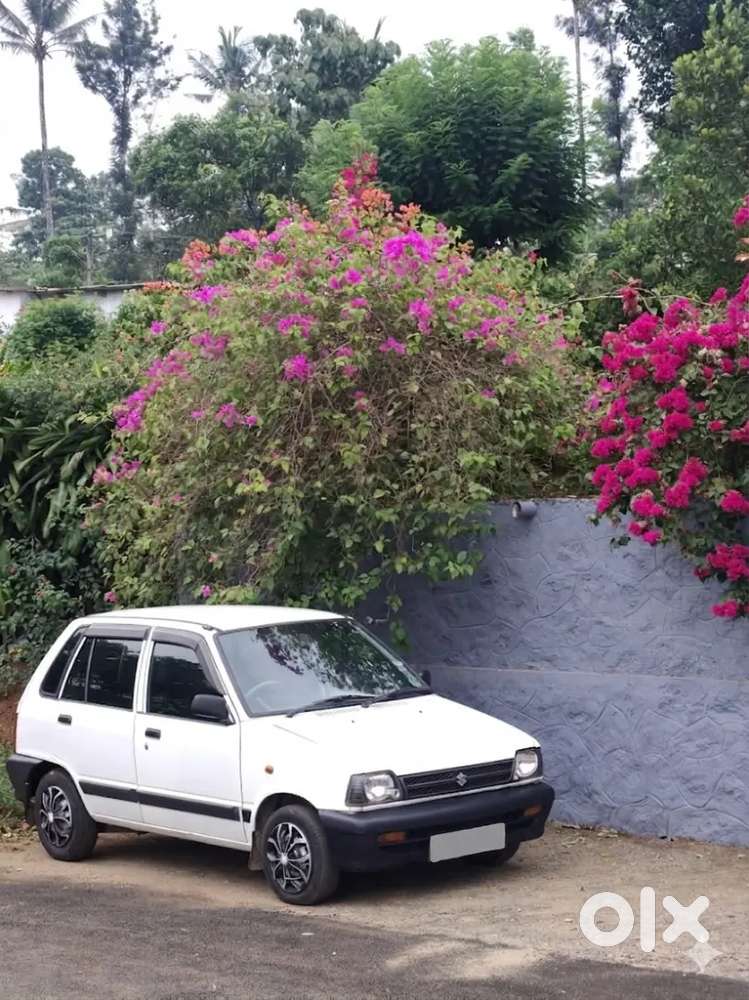Maruti Suzuki 800 2010 Petrol Well Maintained