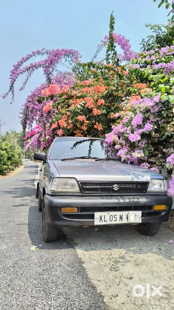 Maruti Suzuki 800  Paper Till 2029