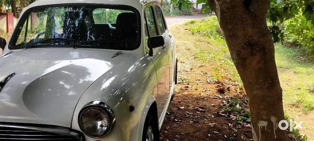 Powerbrake  5speed Gear