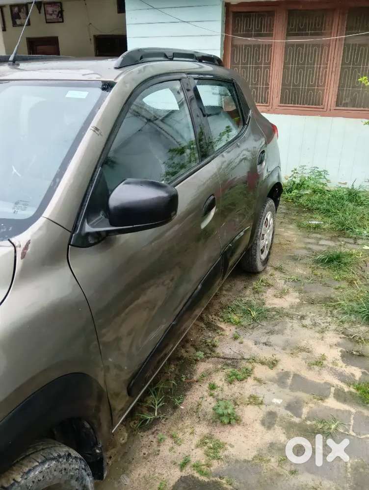 पेड़ले गंज गोरखपुर