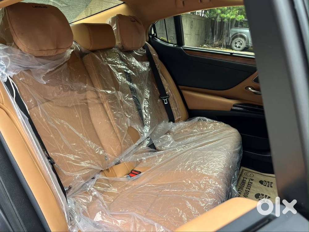 Lexus Es 300h Luxury, 2024, Petrol