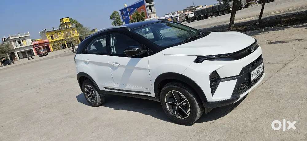 Tata Nexon 2024 Petrol Well Maintained