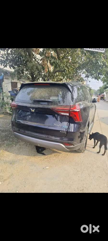 Look Like New Vehicle