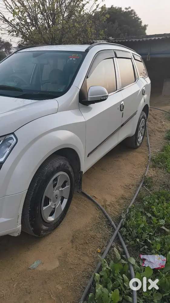 Mahindra Xuv500 2019 Diesel 50000 Km Driven