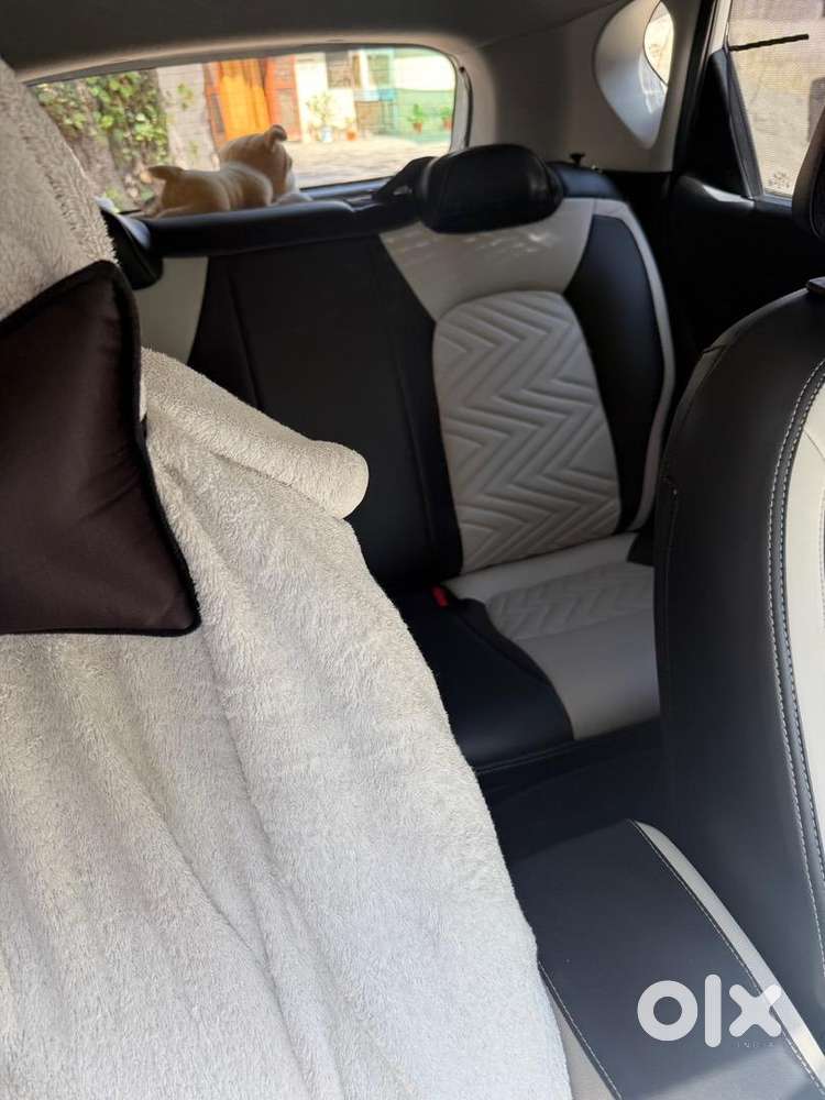 Kia Petrol Car 2024