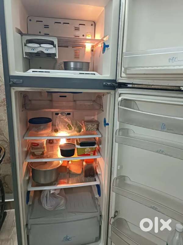 Fridge३१० l