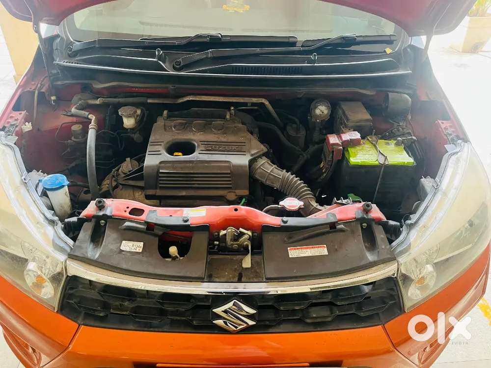 Maruti Suzuki Celerio 2019 Cng & Hybrids Good Condition