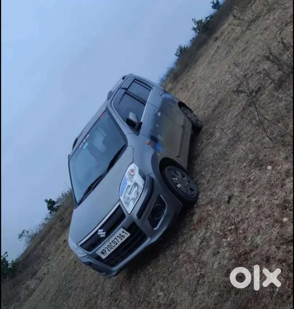 Maruti Suzuki Wagon R 1.0 2013