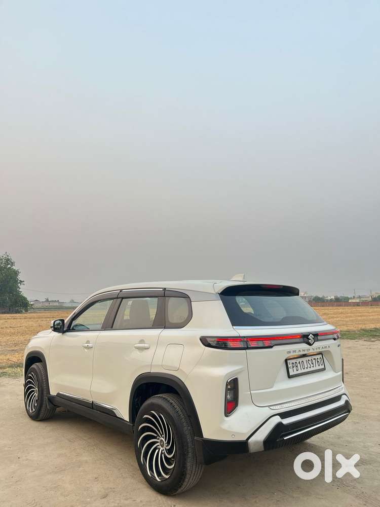Maruti Suzuki Grand Vitara 1.5 Delta Smart Hybrid, 2024, Petrol