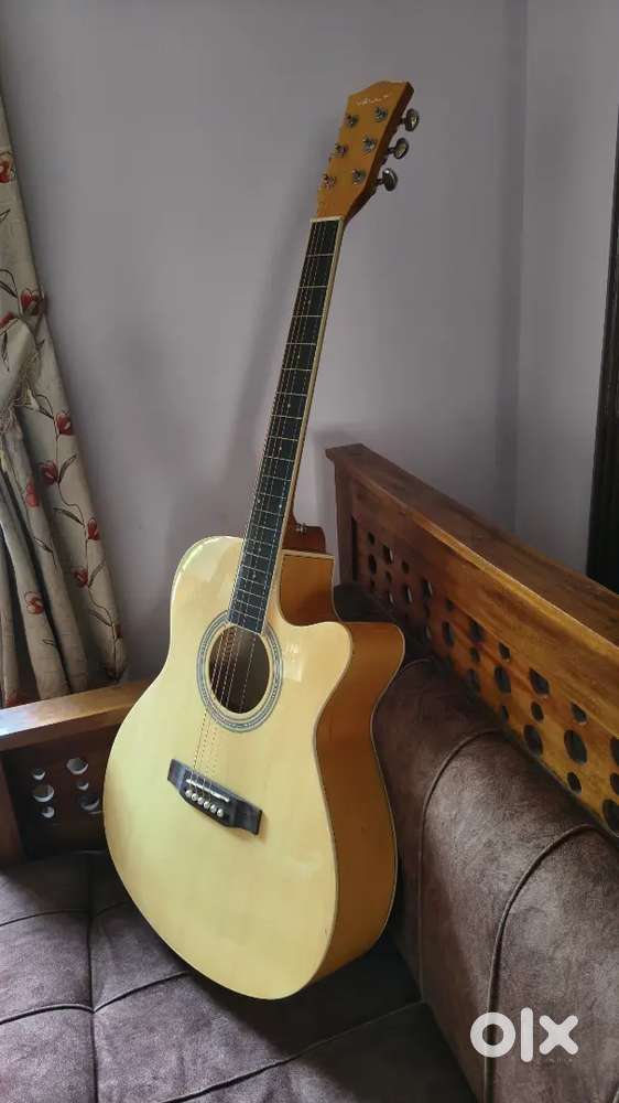 Vault guitar 0 to 6 months