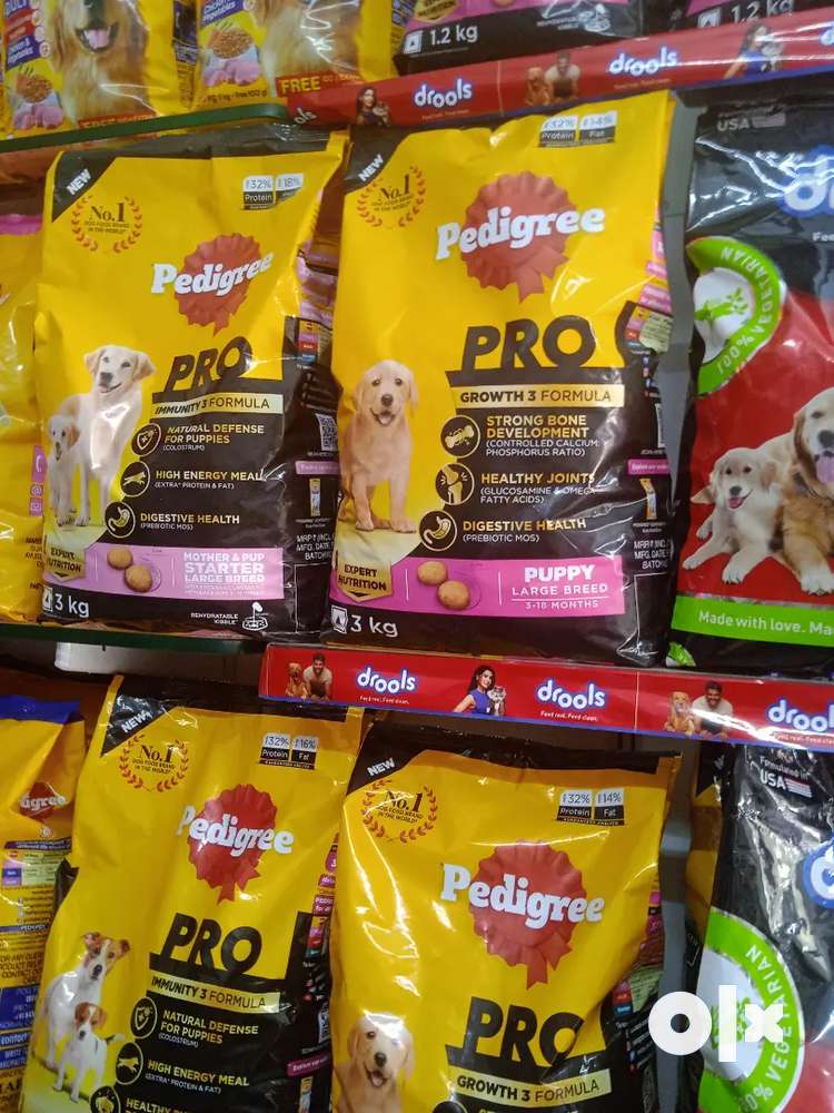 Dog food outlet olx