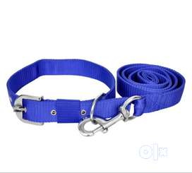 Dog belt olx sales