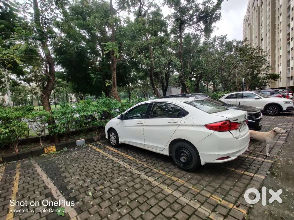 Honda City Petrol Manual 2016 Km Driven