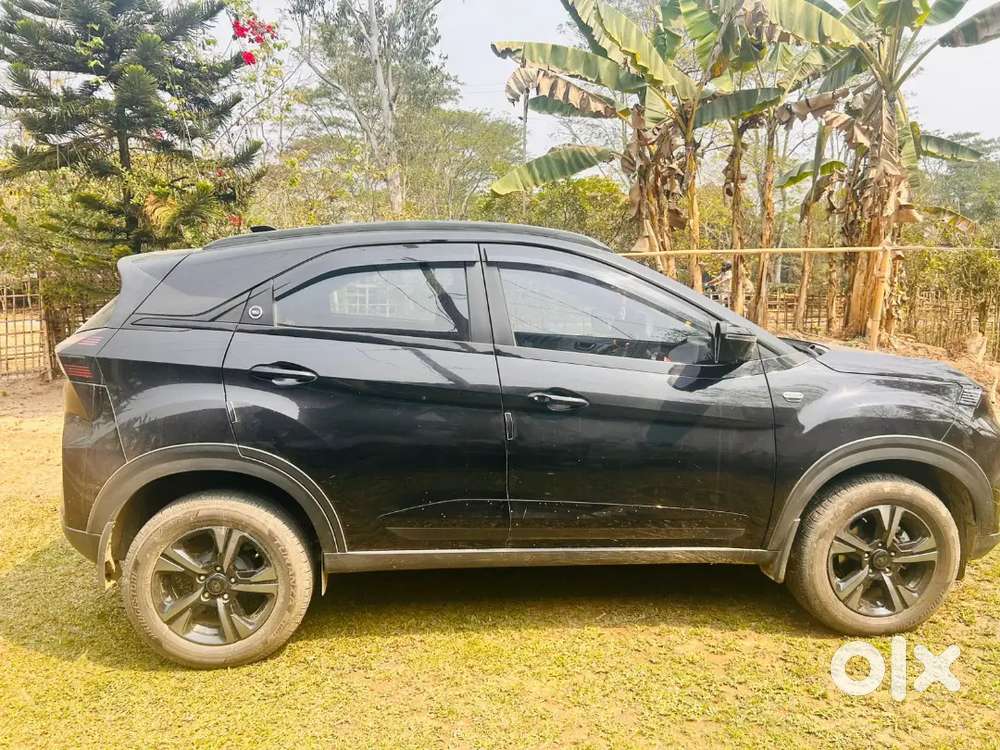 Tata Nexon 2024 Petrol 23000 Km Driven