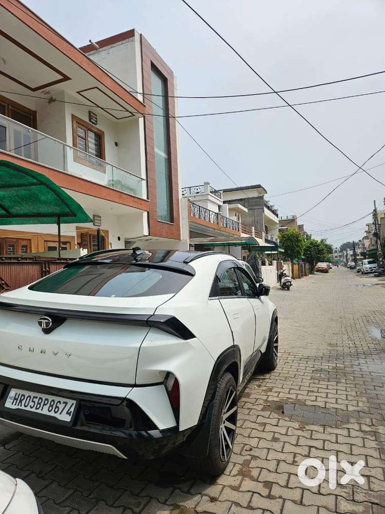 Tata Curvv 2024 Petrol Well Maintained