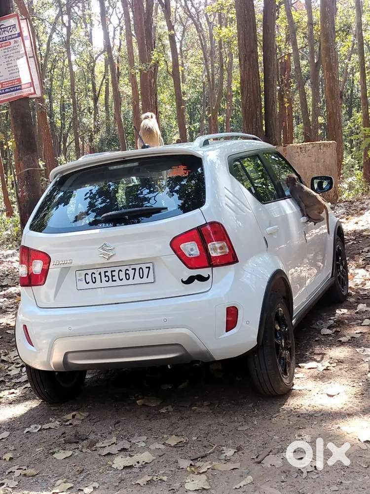 Maruti Suzuki Ignis 2024