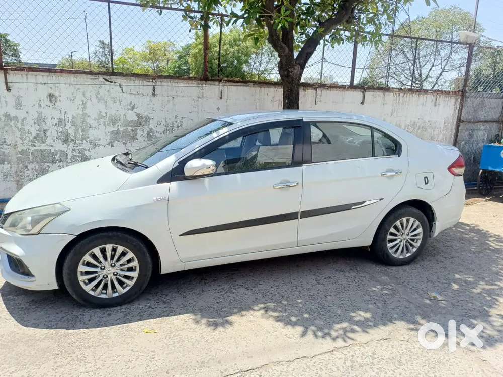 19 Model Maruti Suzuki Ciaz