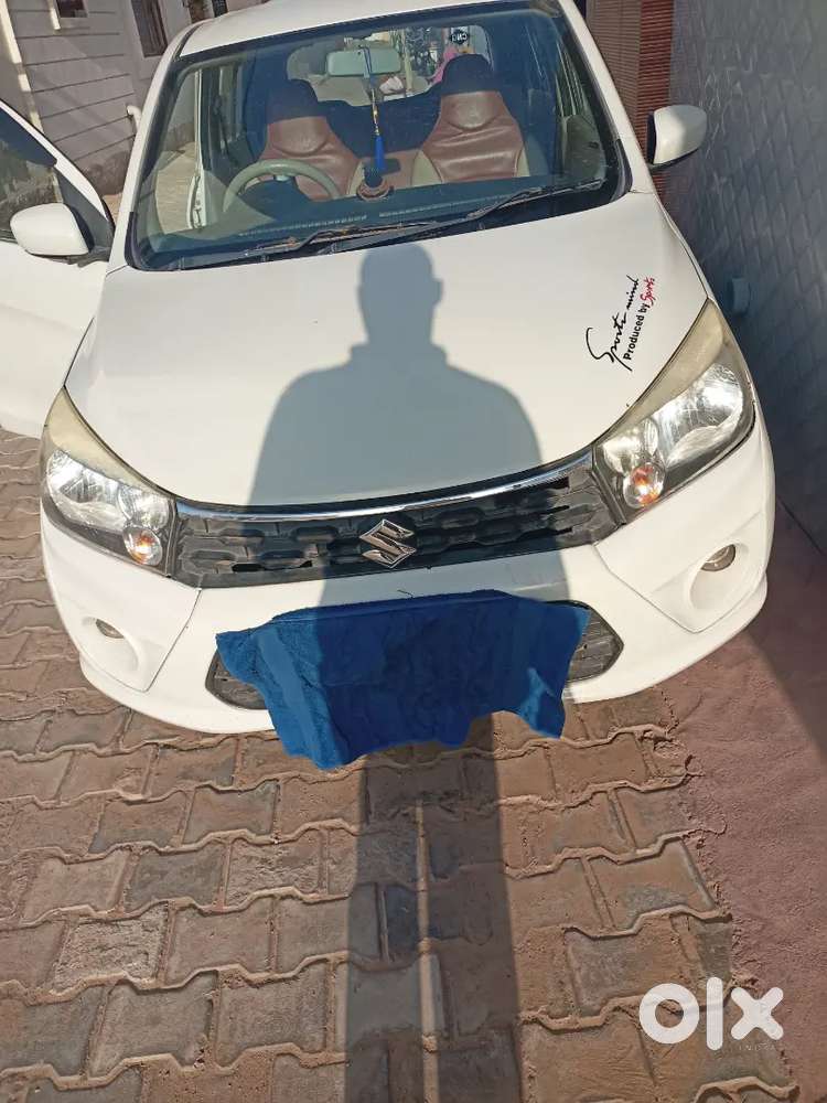 Mejman Chauk Charkhi Dadari