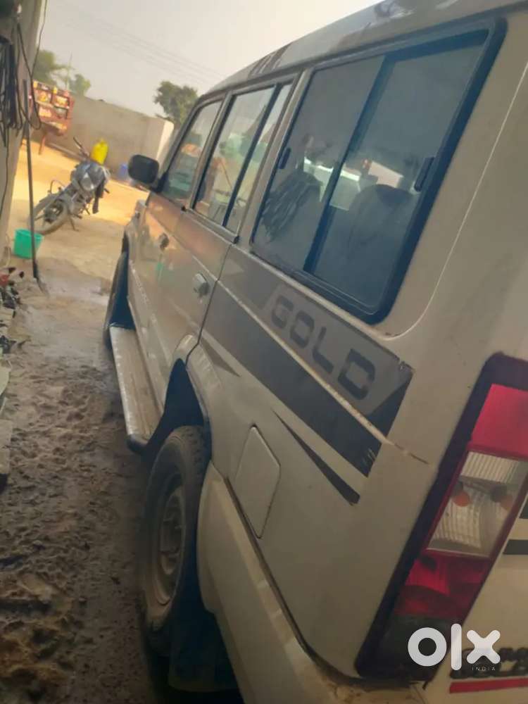 Sumo Gold Good Condition