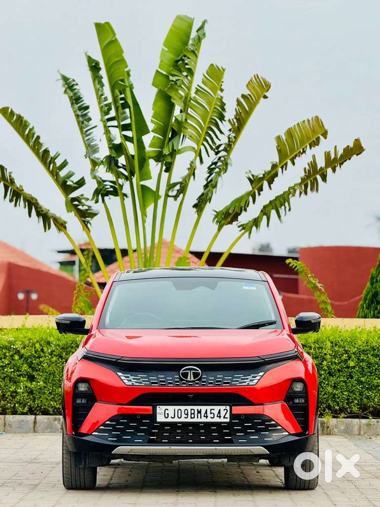 Tata Curvv Accomplished Plus A 1.5 Kryojet Diesel 6mt, 2024, Diesel