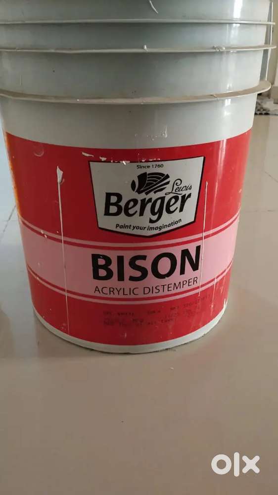 Berger Distemper & Emulsion (White color)