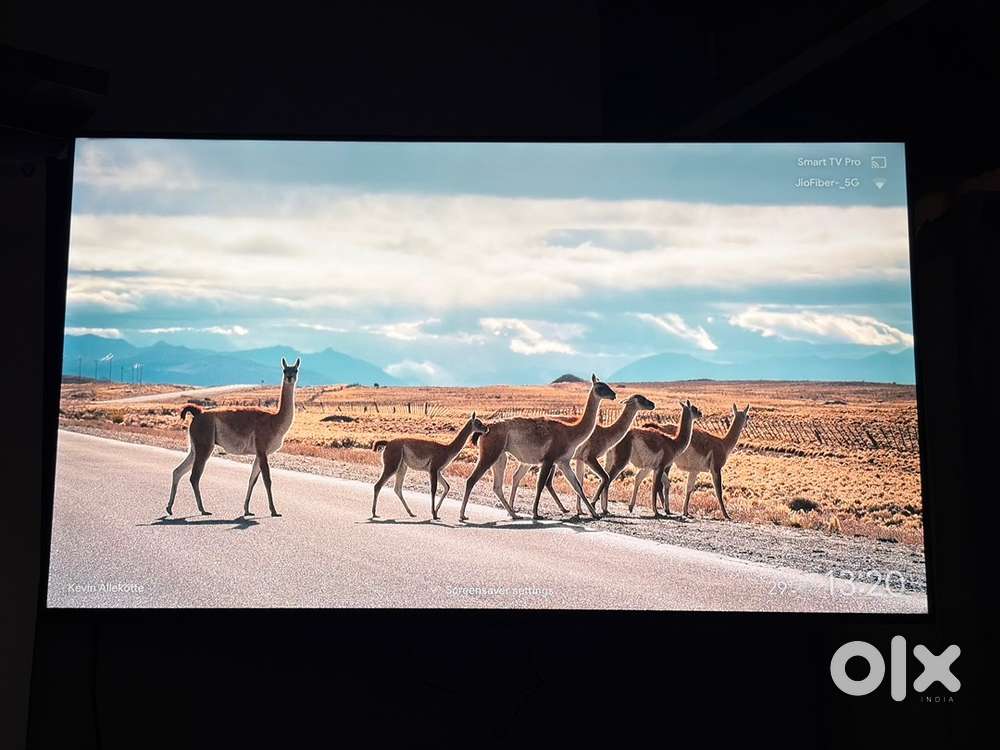 55 inch mini led TV (TCL)